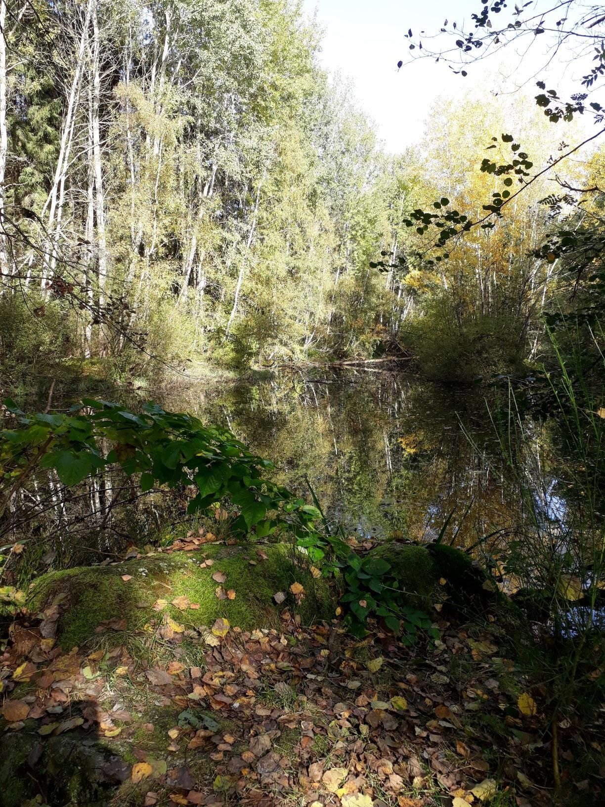 Wasser-Wiese-Wald-Wanderweg (Tut-gut-'Route 3)