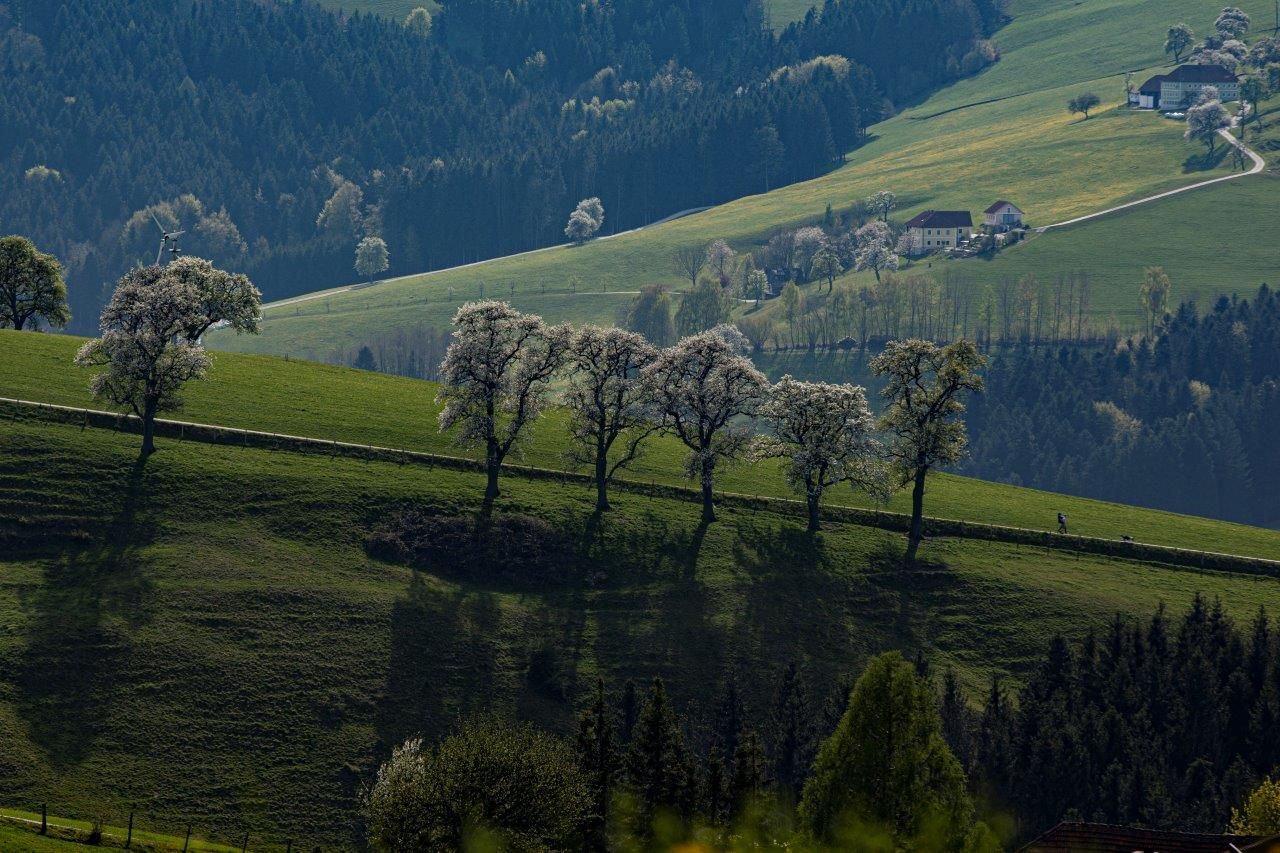 Fotopunkt Mostviertel