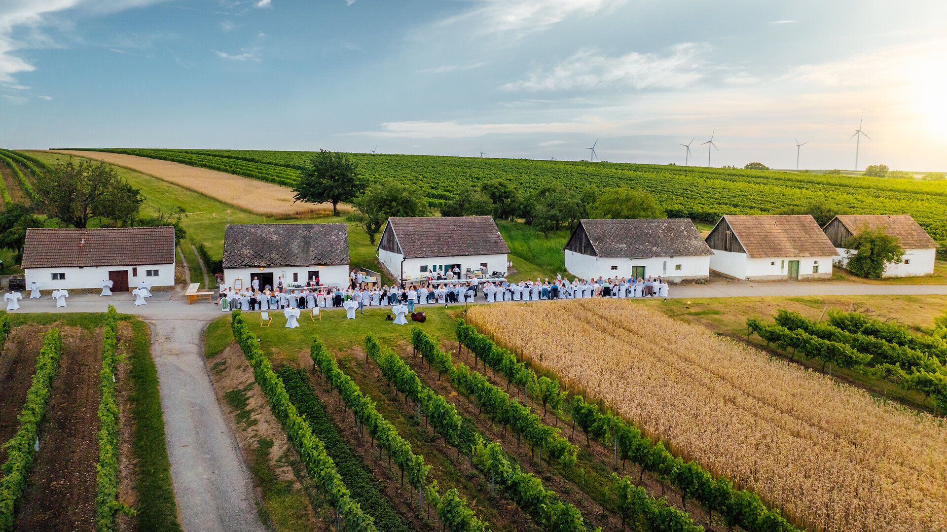 In der malerischen Kellergasse „Alte Geringen“ entfaltet sich ein Fest der Sinne, wo die sanften Hügel des Weinviertels mit üppigen Weinreben geschmückt sind. Die Atmosphäre ist erfüllt von fröhlichem Lachen und dem verlockenden Duft regionaler Köstlichkeiten, die die Besucher in eine Welt des Genusses entführen.