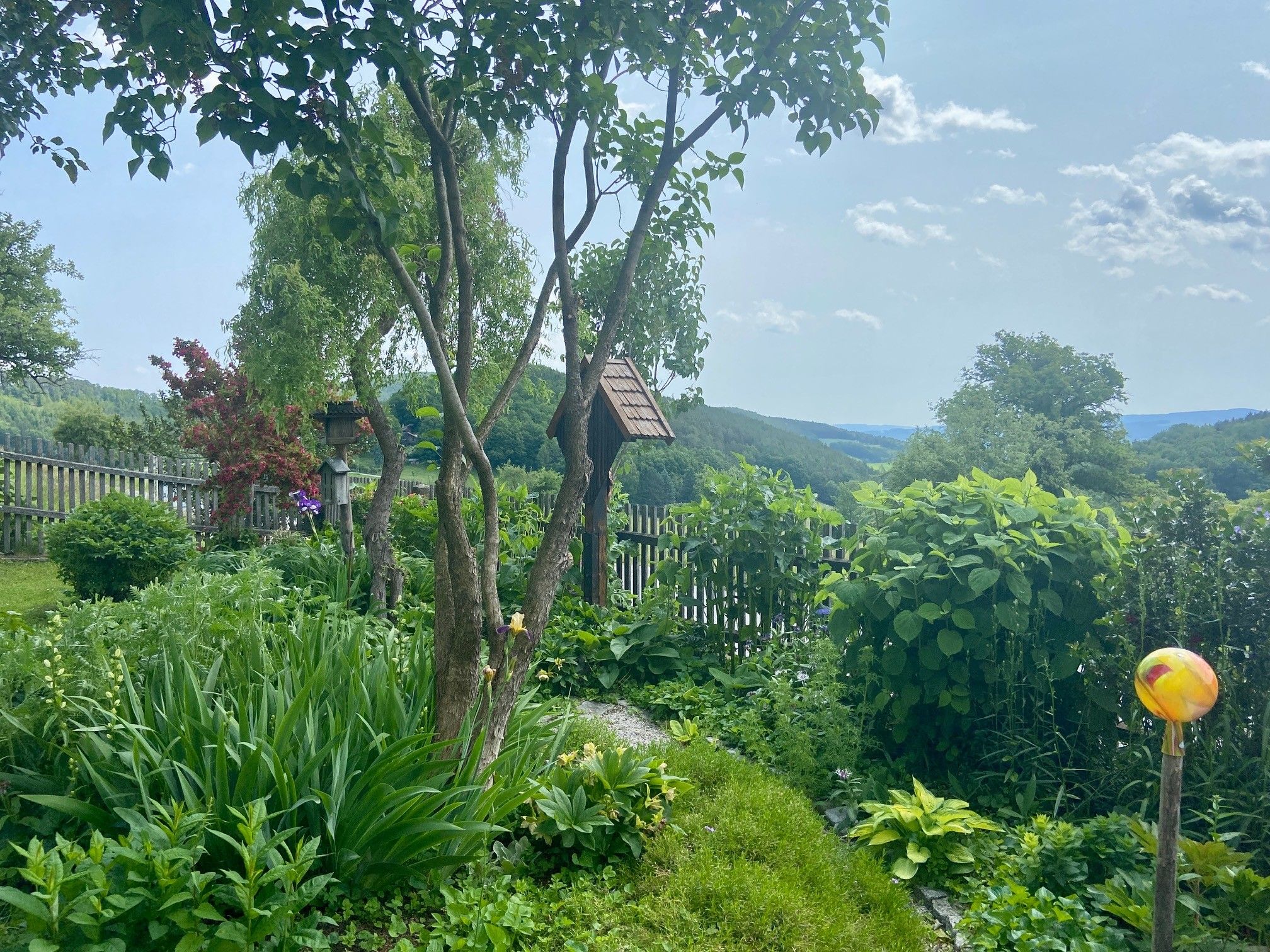 Ein grüner Garten mit Bäumen, Sträuchern und einem Holzzaun im Hintergrund.