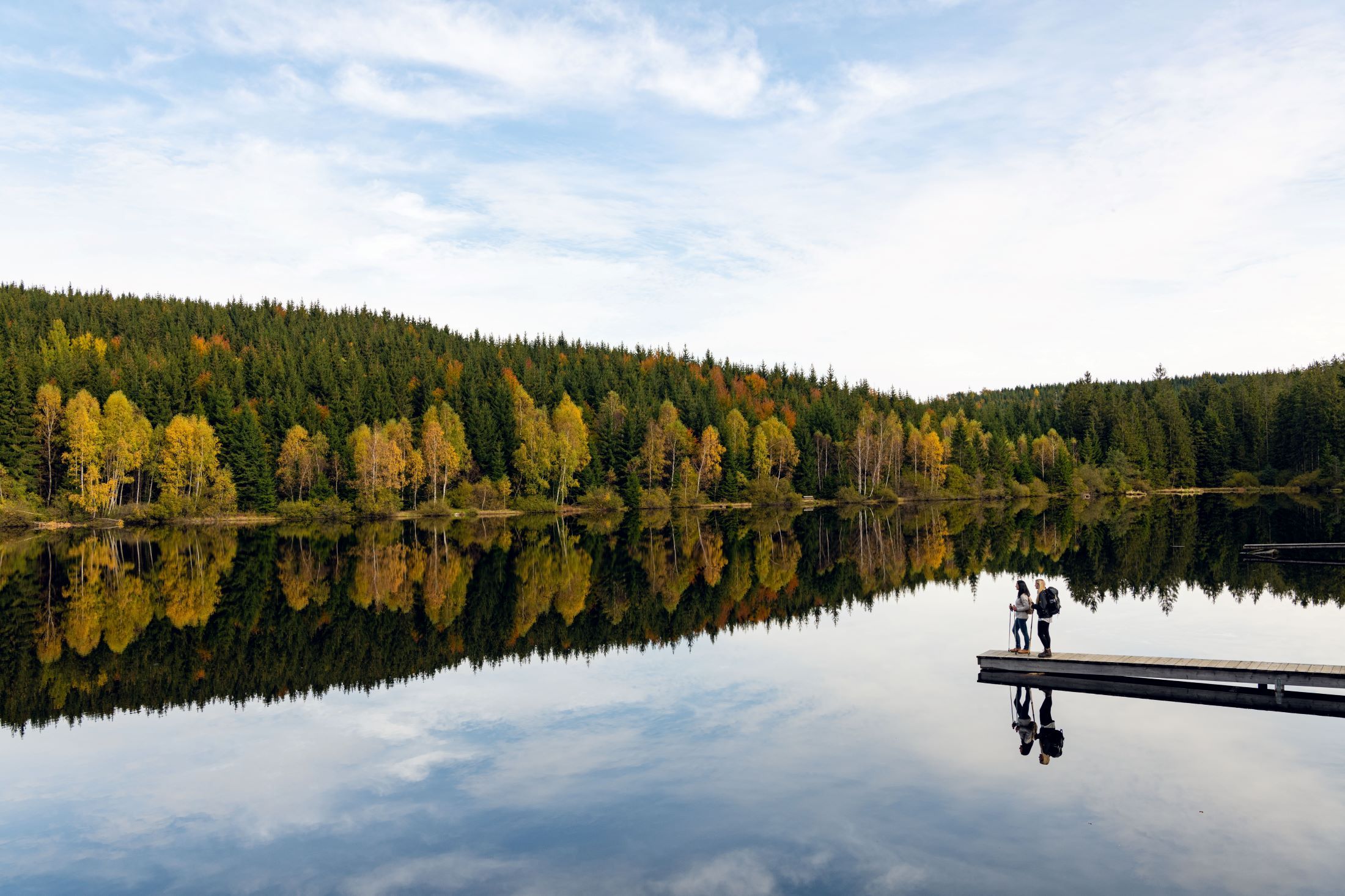 Zwei Personen stehen auf einem Steg am Schlesingerteich, umgeben von herbstlichen Bäumen, die sich im ruhigen Wasser spiegeln.