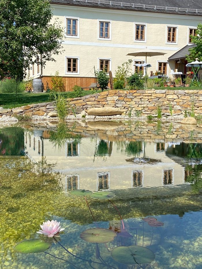 Ein Gartenteich mit Seerosen und der Spiegelung eines Hauses im Wasser.