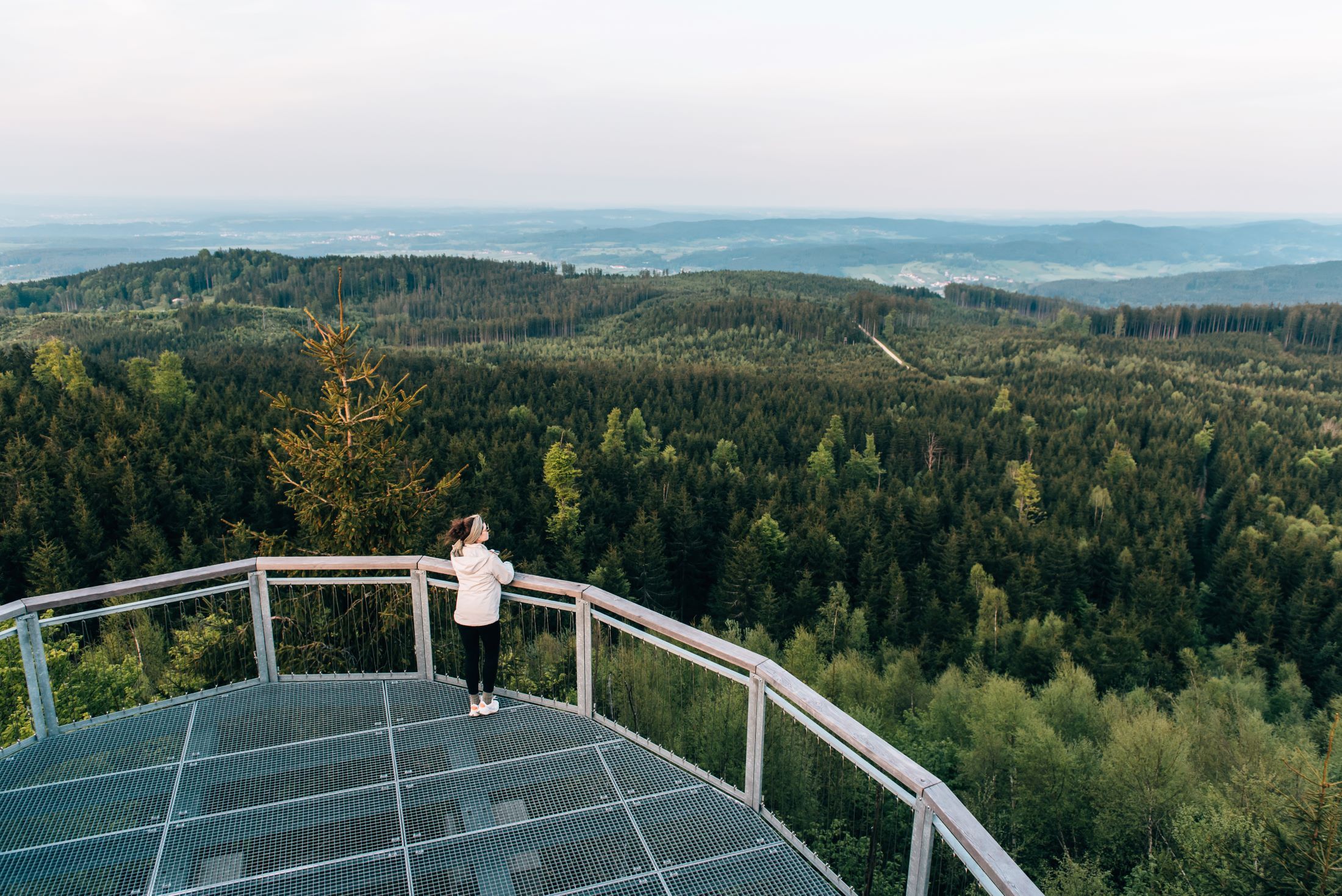 Person auf einer Aussichtsplattform mit Blick auf einen Wald.