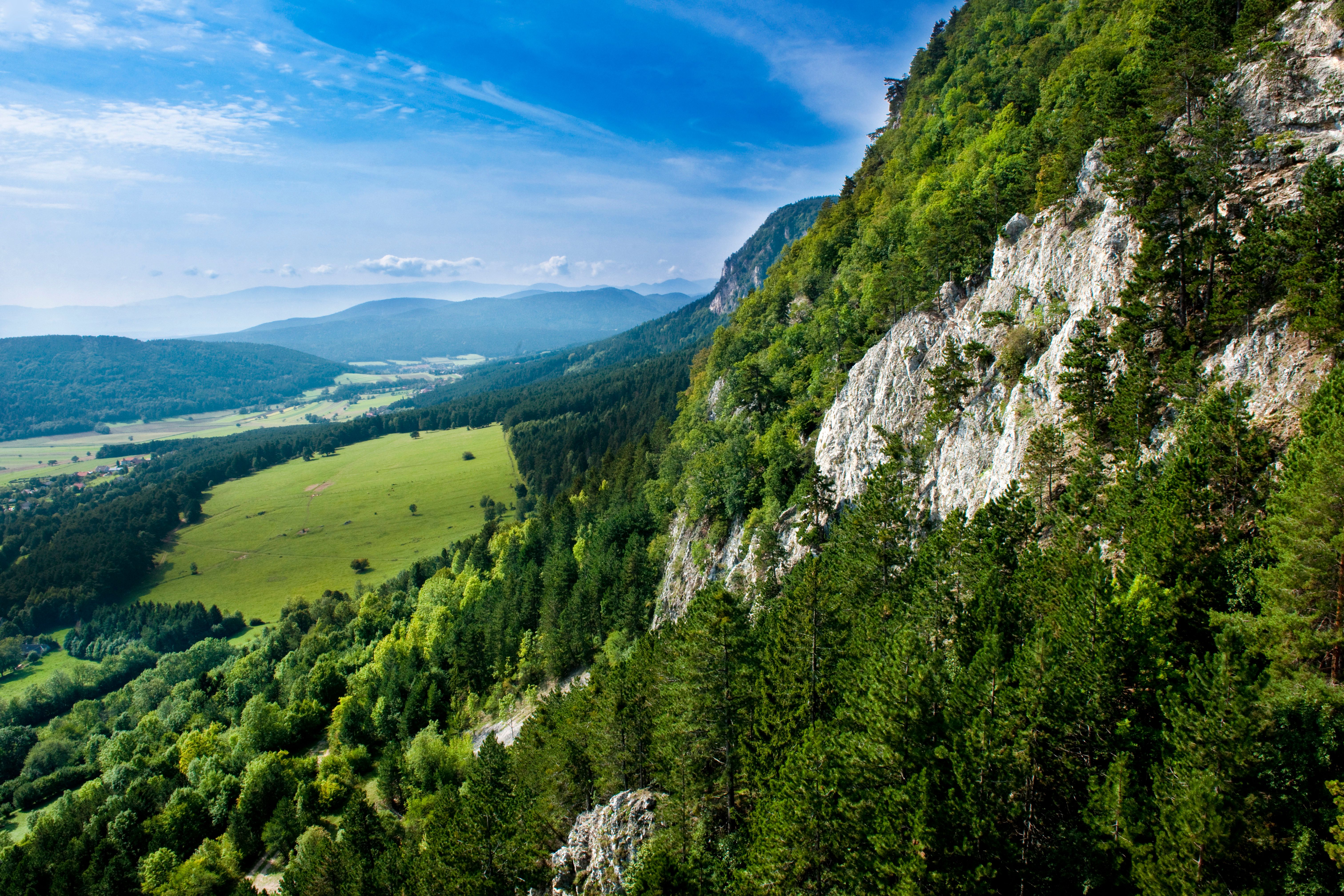 Hohe Wand Felsen
