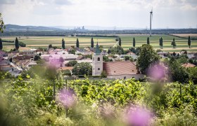 Blick auf Stixneusiedl, Kirche und H&auml;user