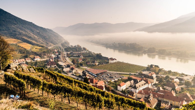 Herbstlicher Ausblick vom Tausendeimerberg in Spitz mit Weinbergen, Dorf und Fluss.