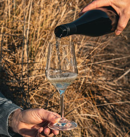 Weingut Riedl_03, &copy; Weingut Riedl