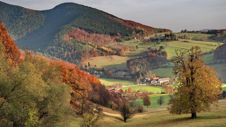 Der Wienerwald, © Gasthof zur Bruthenne Der Wienerwald, © Gasthof zur Bruthenne