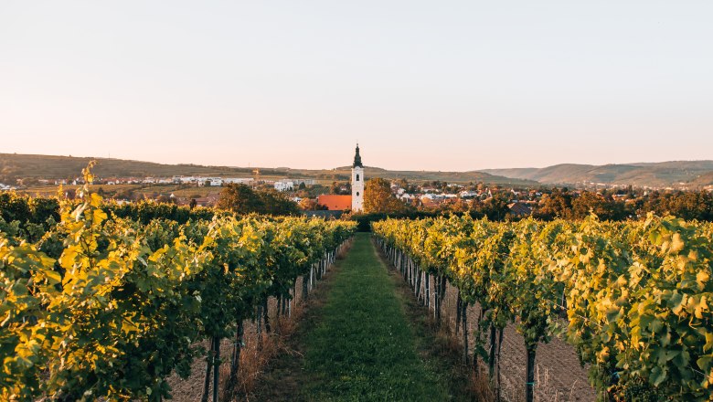 Langenlois, größte Weinstadt Österreichs, © Romeo Felsenreich