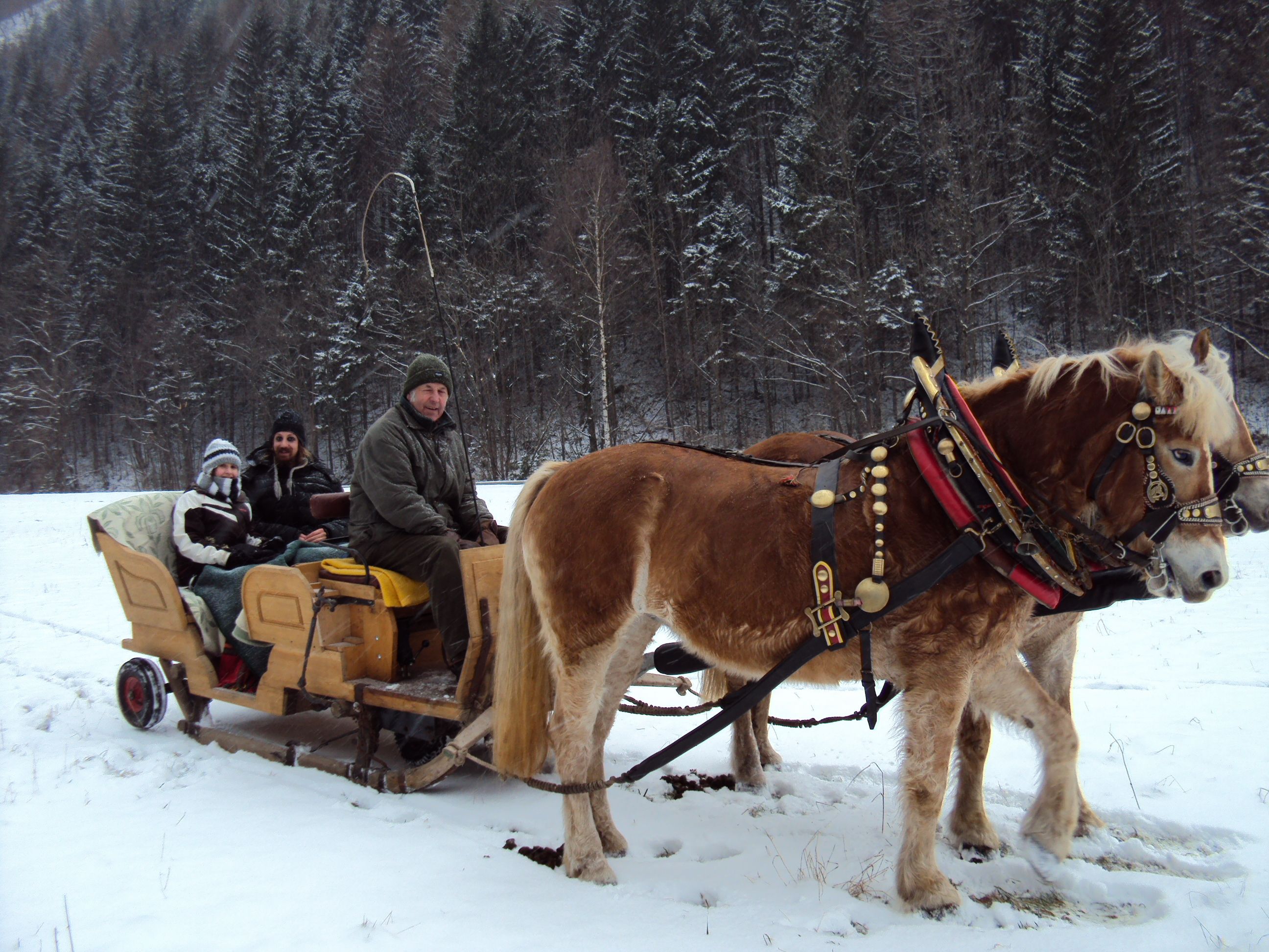 Schlittenfahrt im Winter