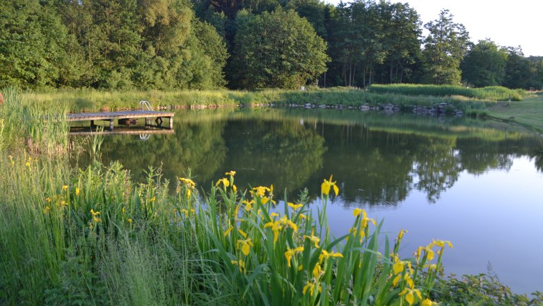 Badeteich, &copy; privat