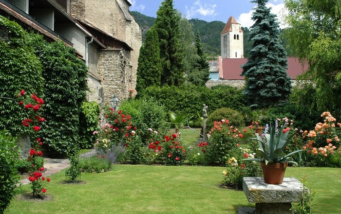 Ein gepflegter Klostergarten mit bl&uuml;henden Rosen, einem Rasen und einer alten Steinmauer im Hintergrund.