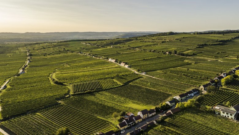 Kellergasse Feuersbrunn, &copy; Robert Herbst