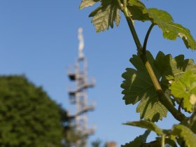 Korkenzieher, &copy; Stadtgemeinde Traismauer