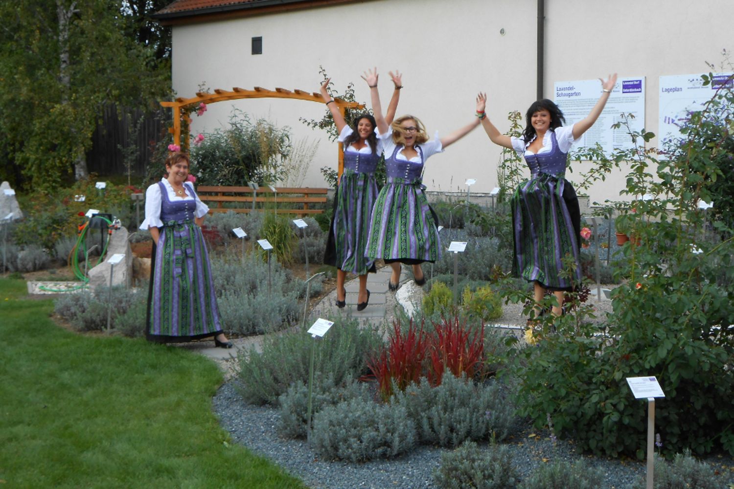 Frauen in Dirndln springen in einem Lavendelfeld.