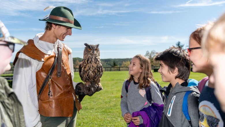 Greifvögel auf der Rosenburg, © Waldviertel Tourismus, Studio Kerschbaum