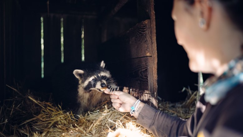 Tierpark Stadt Haag, &copy; Moststra&szlig;e, dochbodnliacht