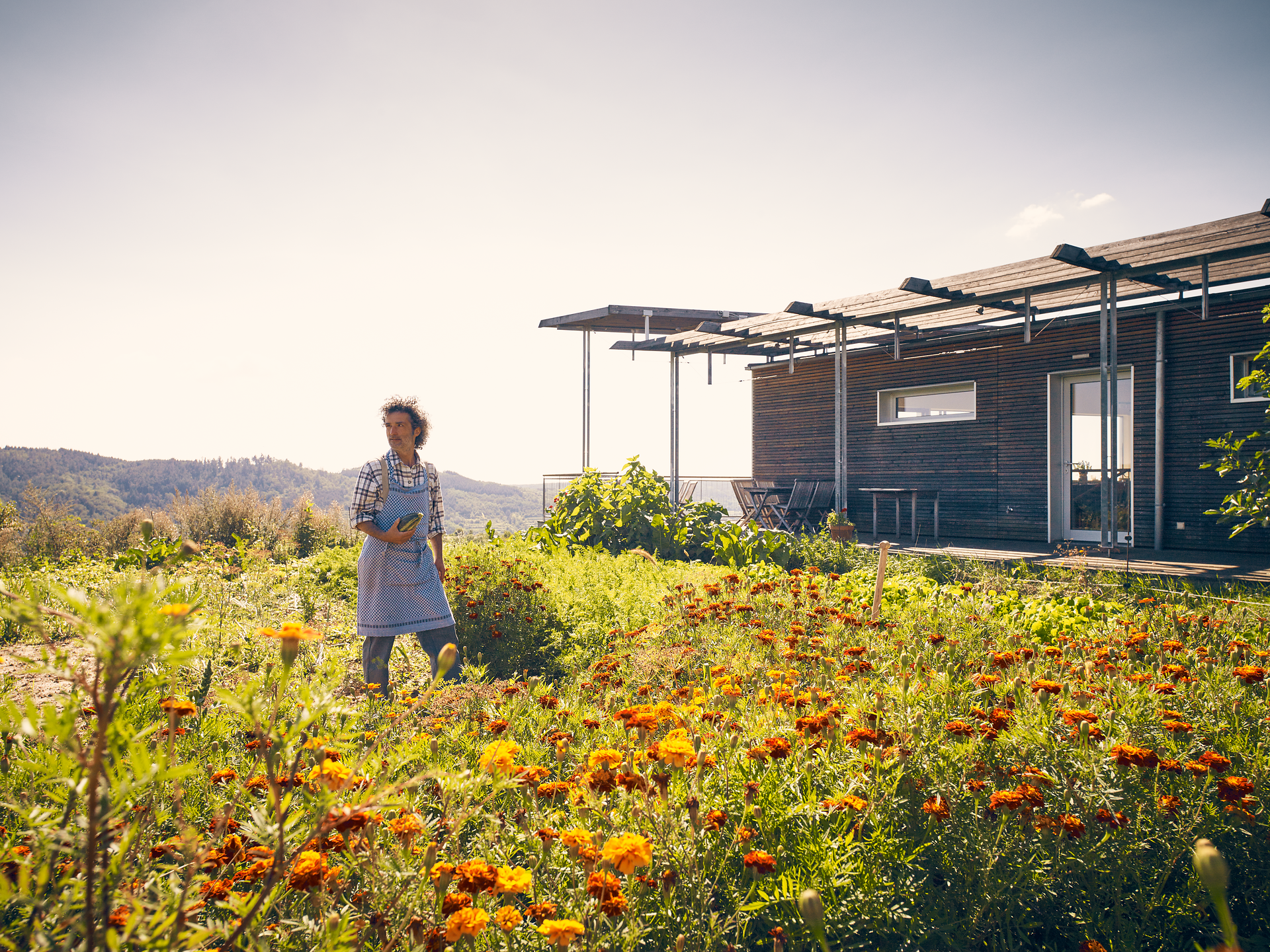 Modernes Gebäude mit Terrasse und Pergola, umgeben von Pflanzen und Weinfässern, unter blauem Himmel.