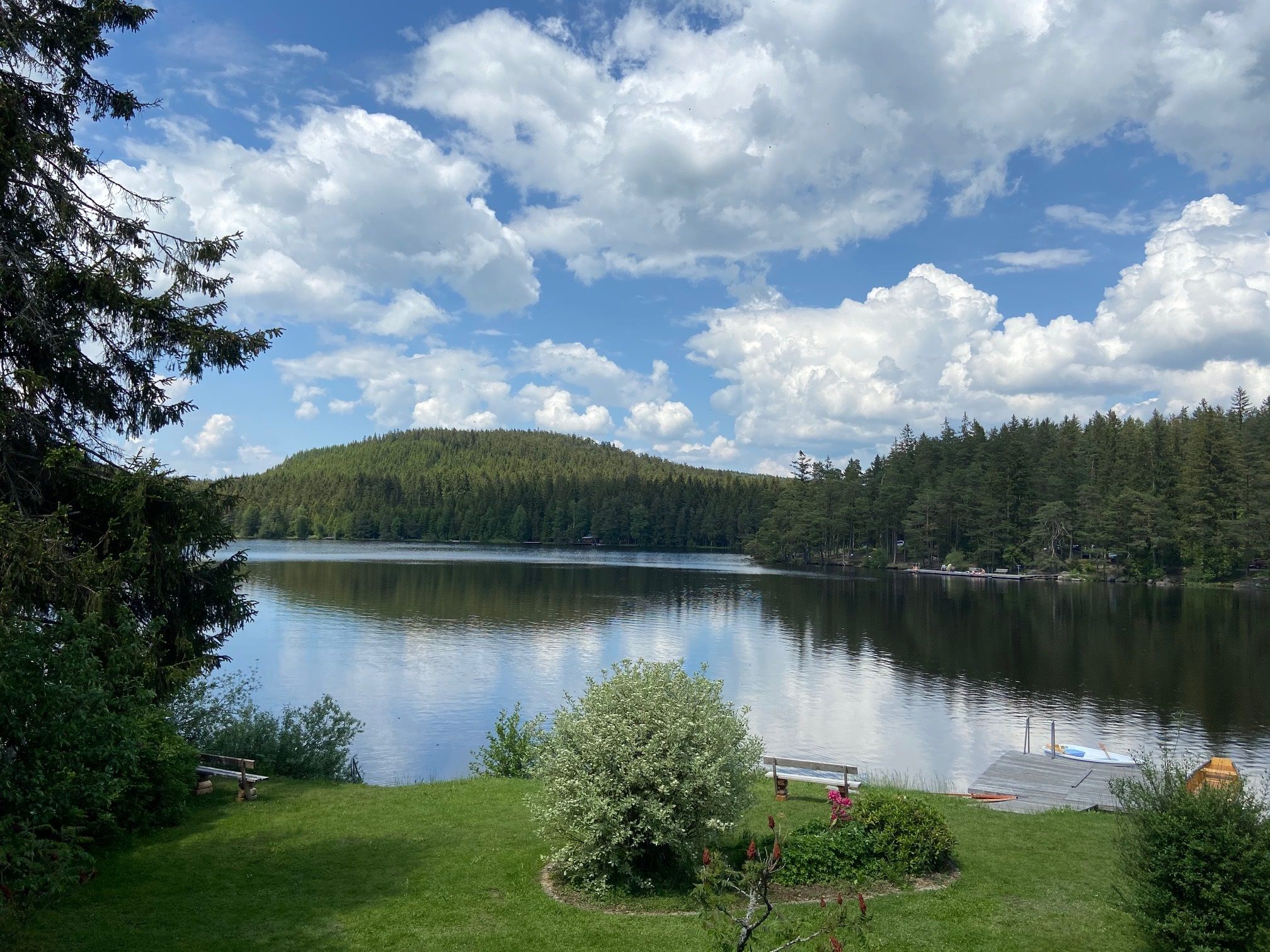 Ein ruhiger See mit bewaldeten Ufern und einem Steg im Vordergrund, umgeben von grüner Landschaft und unter einem bewölkten Himmel.
