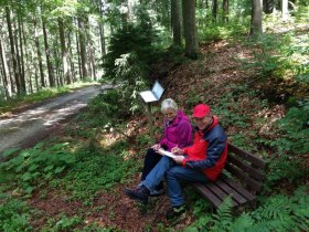 Sch&uuml;lersteig, &copy; Gemeinde B&auml;rnkopf