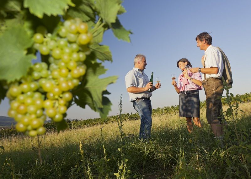 Drei Personen bei einer Weinverkostung im Weinberg mit Trauben im Vordergrund.