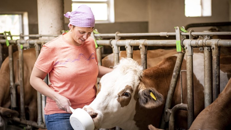 ferienhaus-lenzau, &copy; Ferienhaus Lenzau