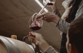 Treffen sich Zwei Weinherbst NÖ , © We Make Stories