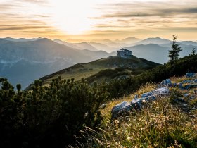 Die sanften Hügel der Rax erstrahlen im warmen Licht der Abendsonne, während die bunten Wildblumen im Vordergrund sanft im Wind wiegen. Ein Gefühl von Freiheit und Abenteuer durchzieht die Luft, perfekt für eine entspannte Wanderung oder ein gemütliches Hüttenhüpfen.