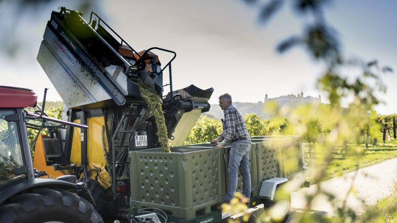 Winzerhof Fam. Dockner, &copy; Robert Herbst_POV
