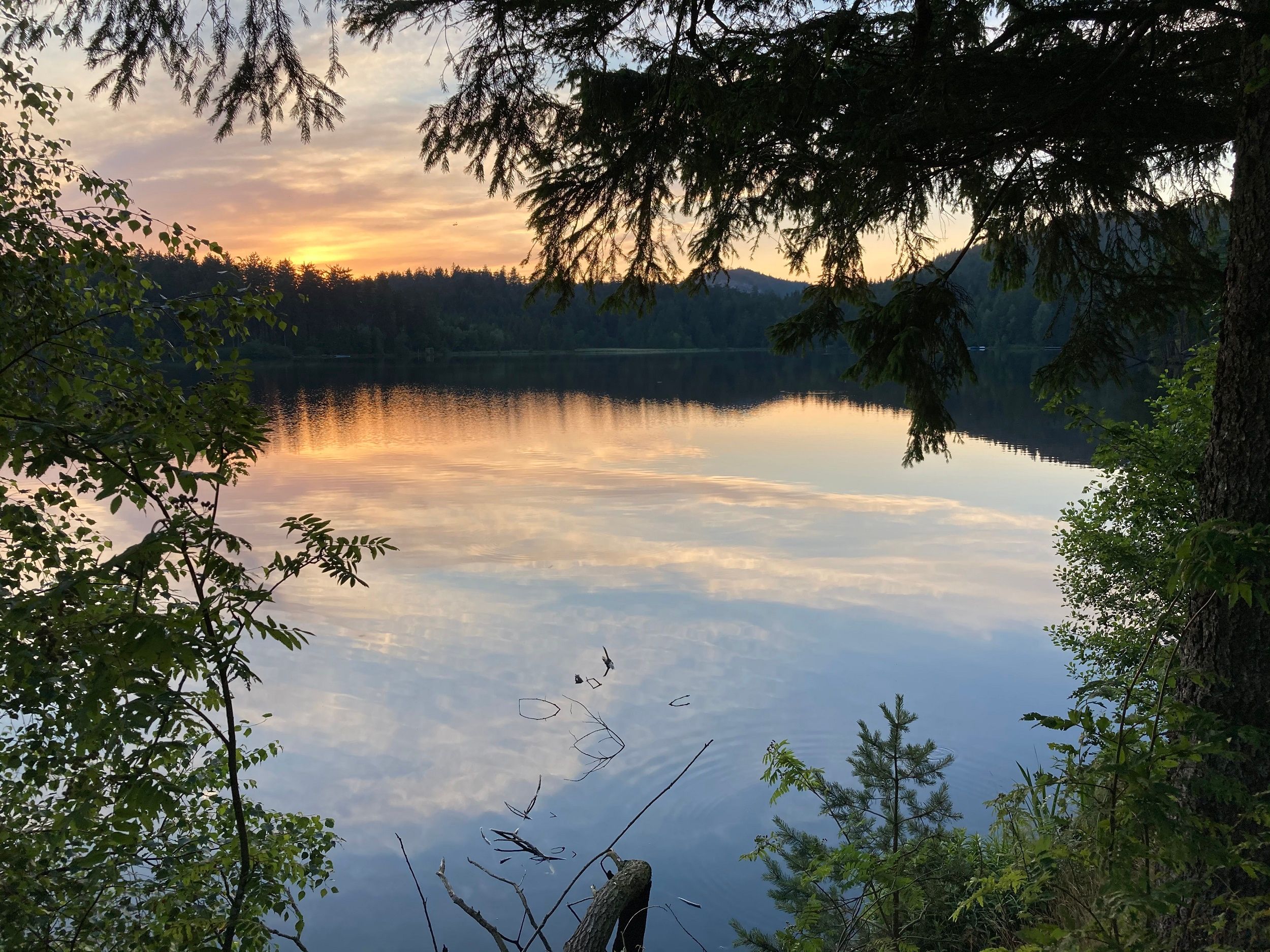 Edlesbergerteich Abendstimmung