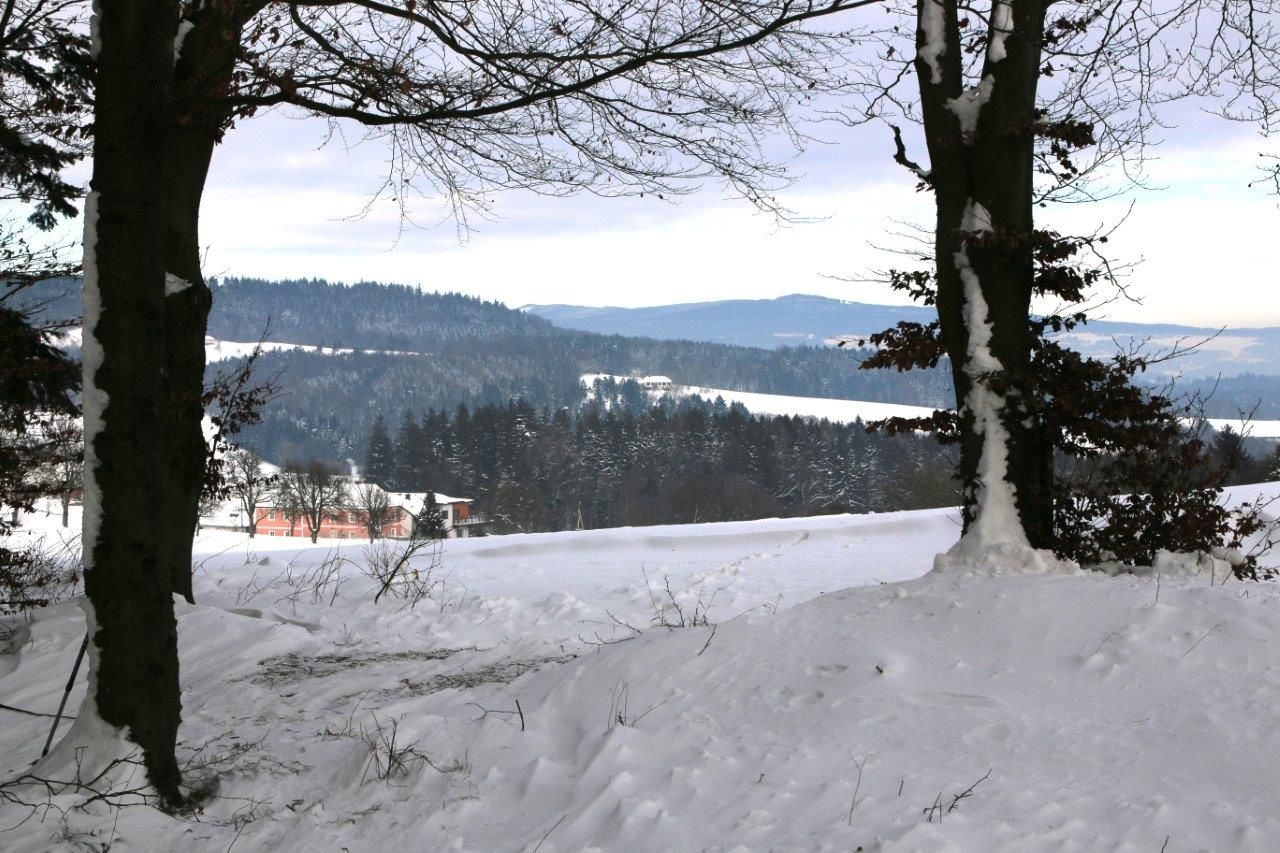 Blick von der Schotterhöhe zum Ostrong