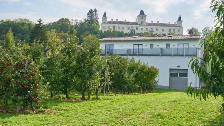 Schloss Wolfsberg im Hintergrund mit Obstgarten im Vordergrund.