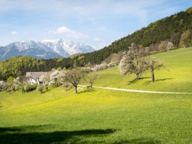 Gutenmann, &copy; Wiener Alpen in Nieder&ouml;sterreich