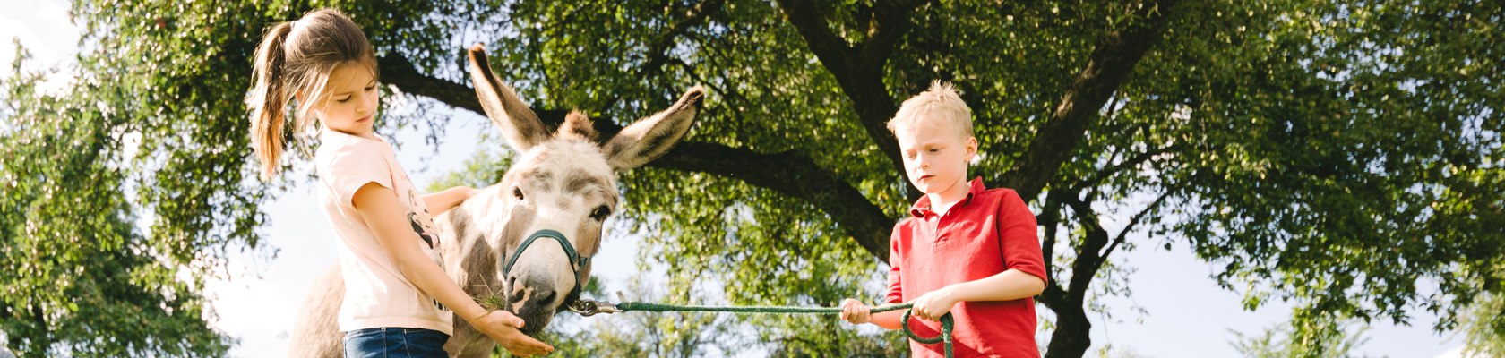 Wachauer Eselabenteuer, © Niederösterreich Werbung/Stefan Fuertbauer