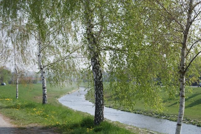 Umgebung, &copy; Mag. Christiana St&ouml;ger