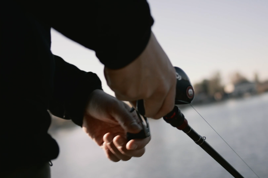 Den großen Fisch an Land ziehen, © We Make Stories