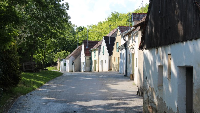 Reihe von Weinkellern in einer l&auml;ndlichen Stra&szlig;e mit B&auml;umen im Hintergrund.