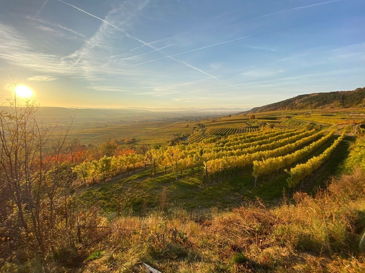 Herbstliche Stimmung im Weinland Traisental