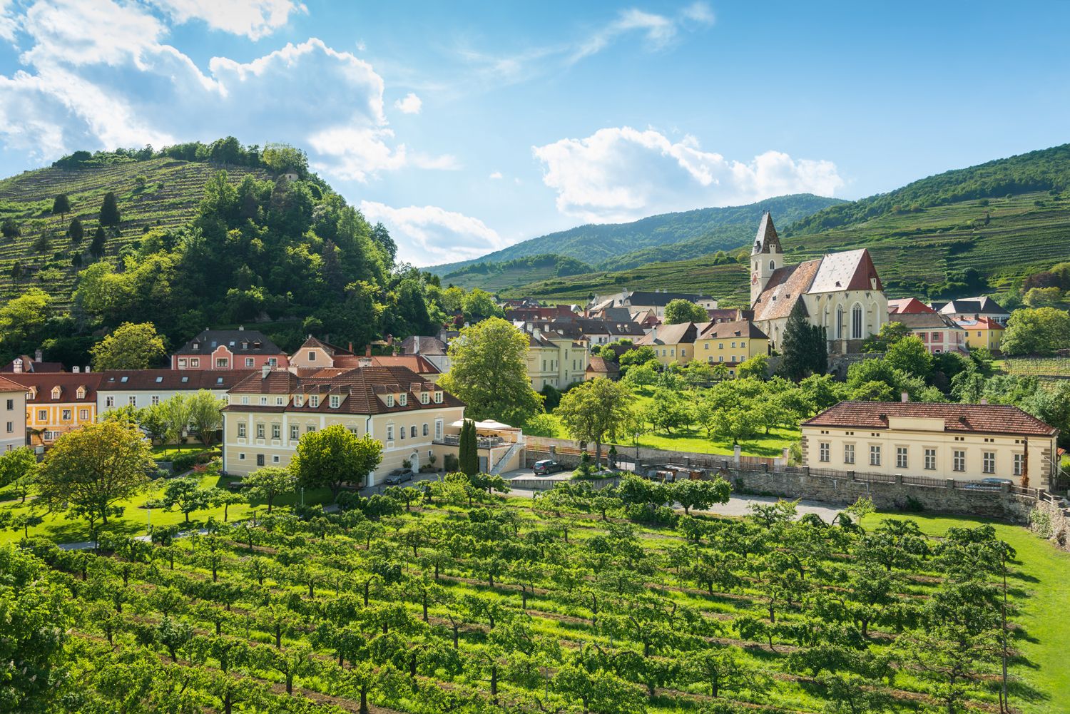 Landschaft mit Weinbergen, Kirche und Häusern in Spitz, Österreich.