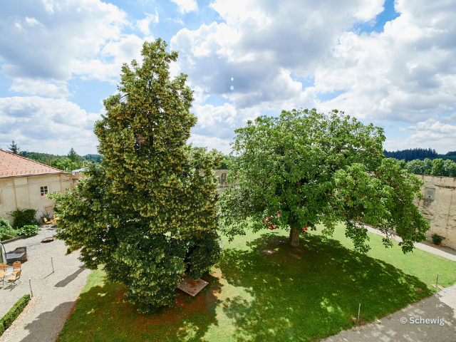 Klostergarten3 - Kloster Pernegg 2016 © Schewig