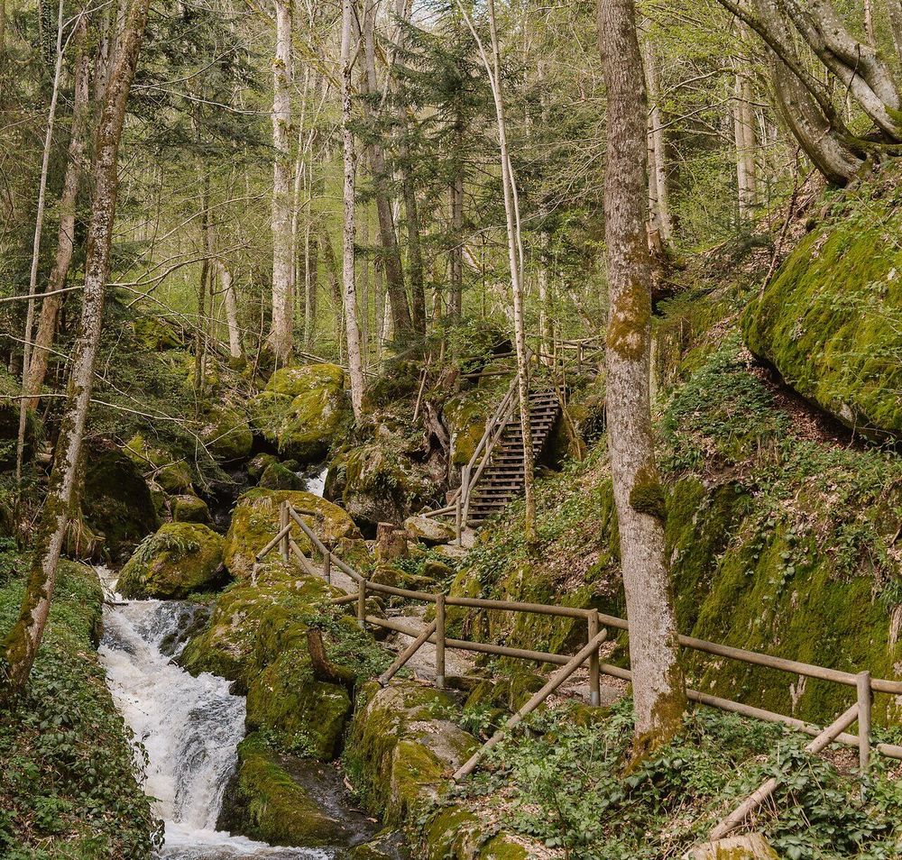 Die Ysperklamm verzaubert mit ihrem klaren Wasser, das sanft über die moosbedeckten Steine plätschert. Umgeben von üppigem Grün und majestätischen Bäumen lädt dieser Ort zum Verweilen und Entspannen ein. Hier erleben Wanderer die unberührte Schönheit der Natur in vollen Zügen.