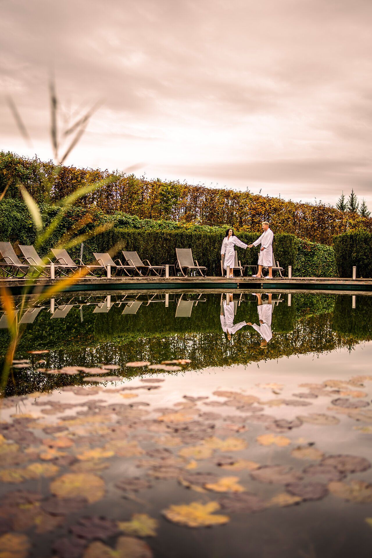 Hotel Schwarz Alm Zwettl mit Naturteich und Liegestühlen, umgeben von grüner Landschaft.