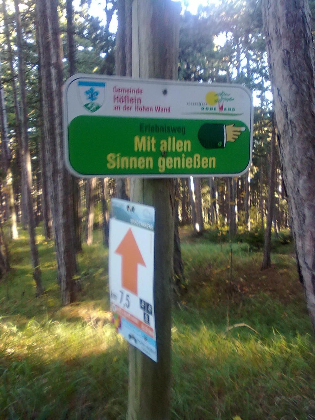 Ein Schild im Wald mit der Aufschrift 'Mit allen Sinnen genießen'.