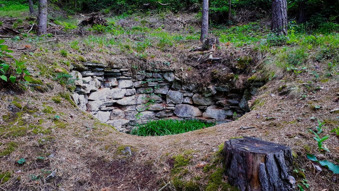 Kalkofen im Wald