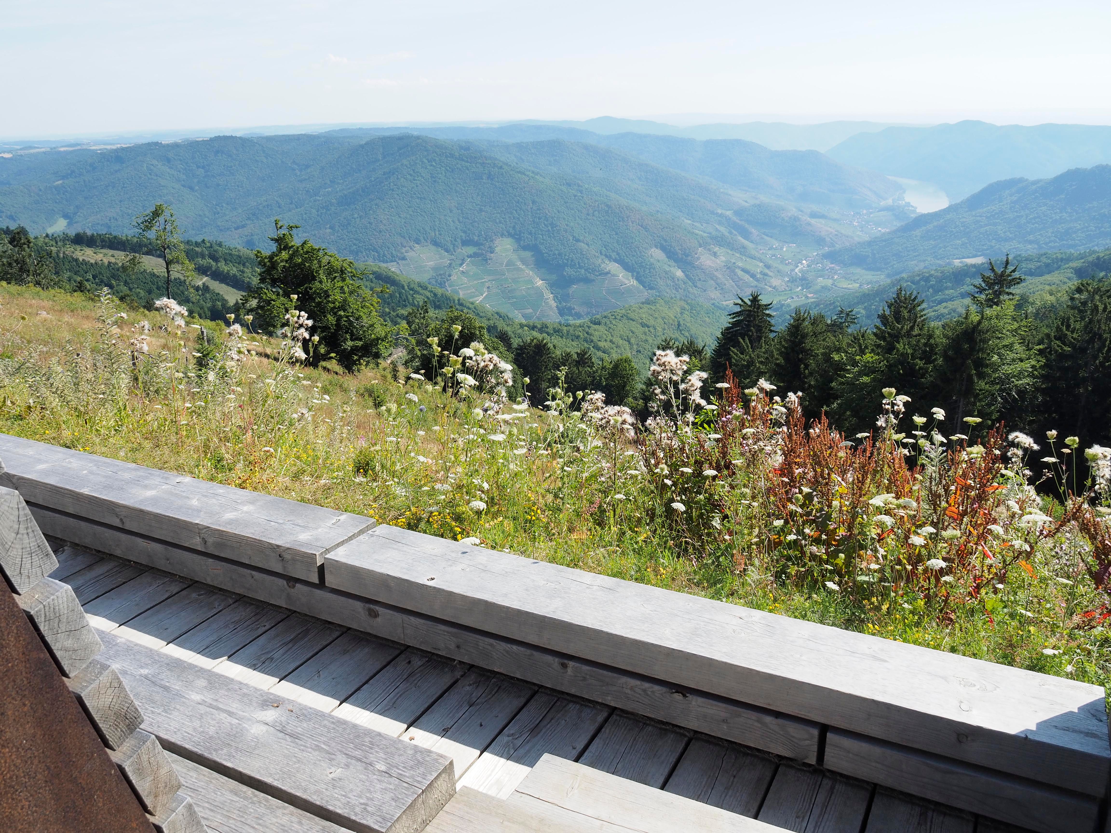 Aussicht von einem Holzdeck auf eine hügelige Landschaft mit Wiesen und Wäldern.