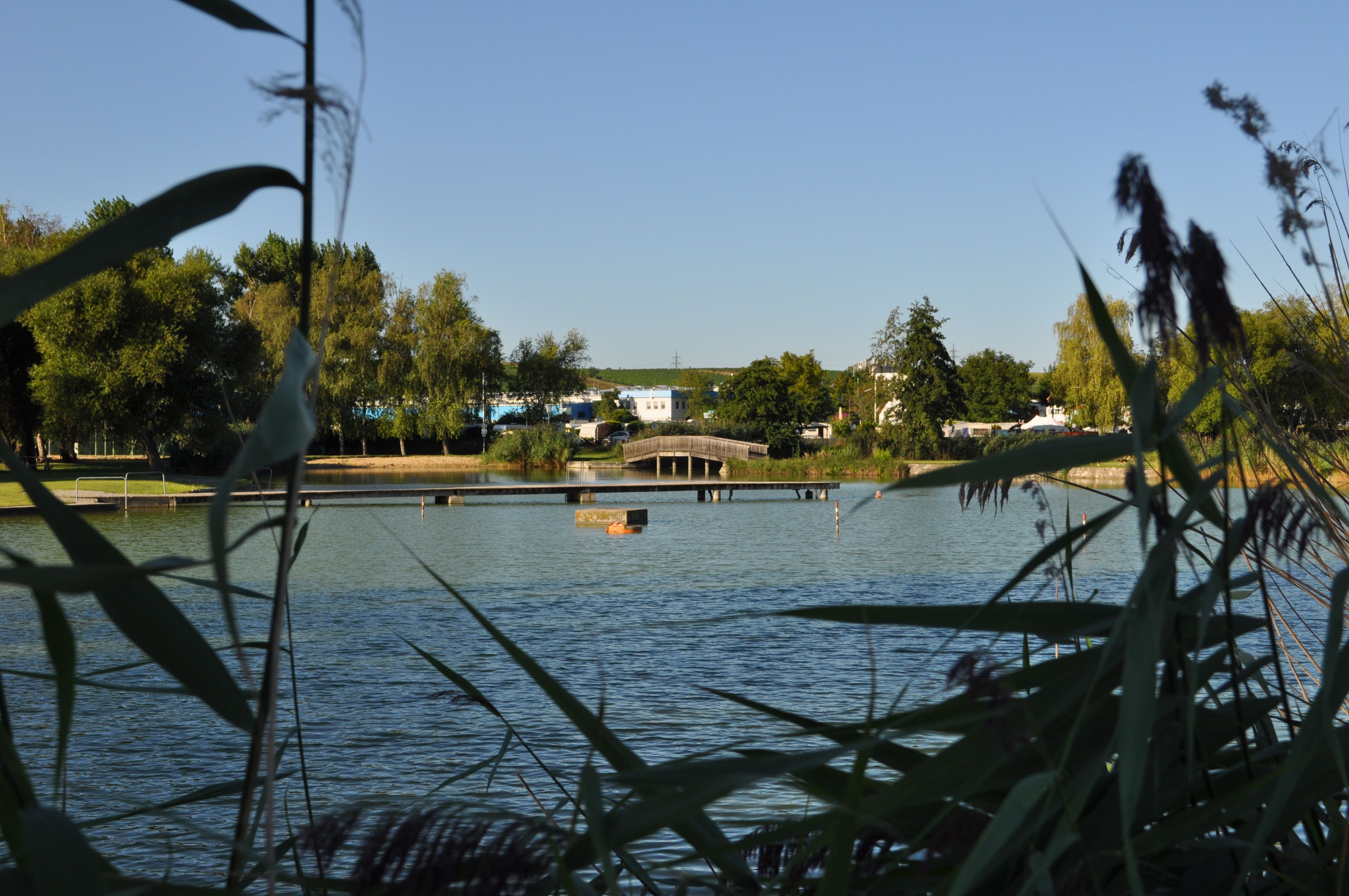 Ein ruhiger Badeteich mit Brücke und Bäumen im Hintergrund, umrahmt von Schilf.