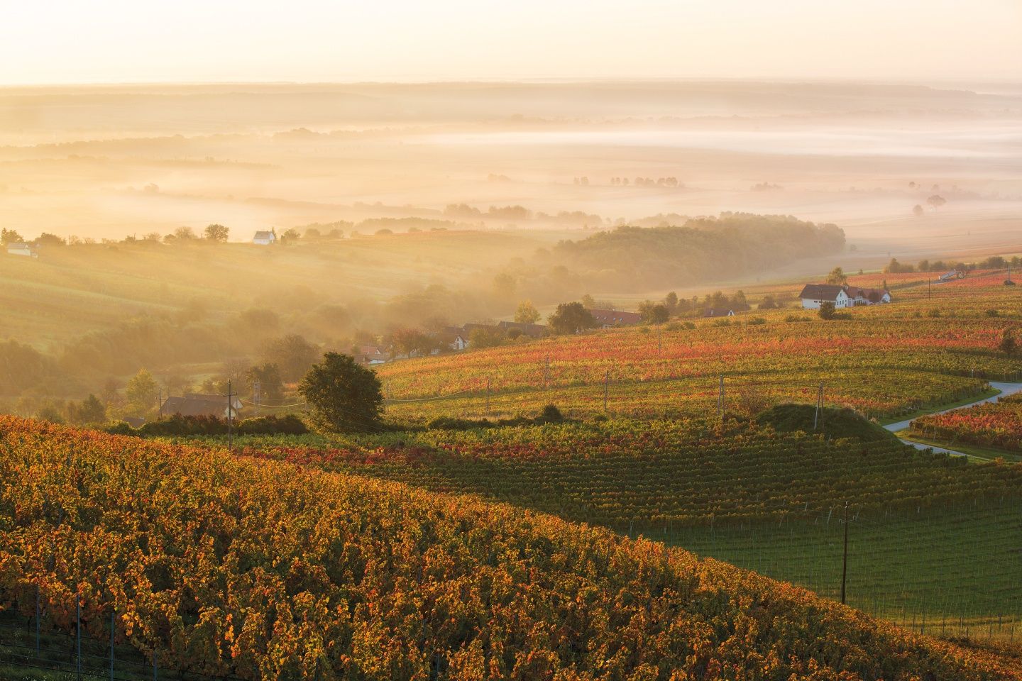 BERNSTEIN TRAIL Ostroute | Genusswandern zwischen Alpen und Puszta