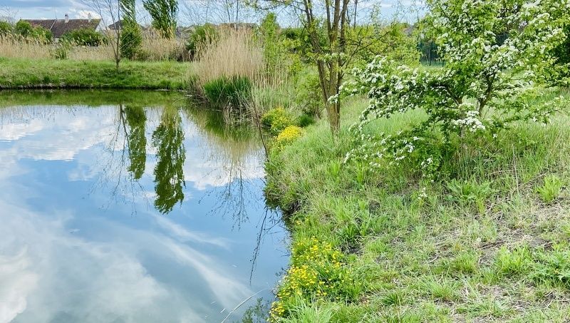 Watzelsdorf Wasserwelt