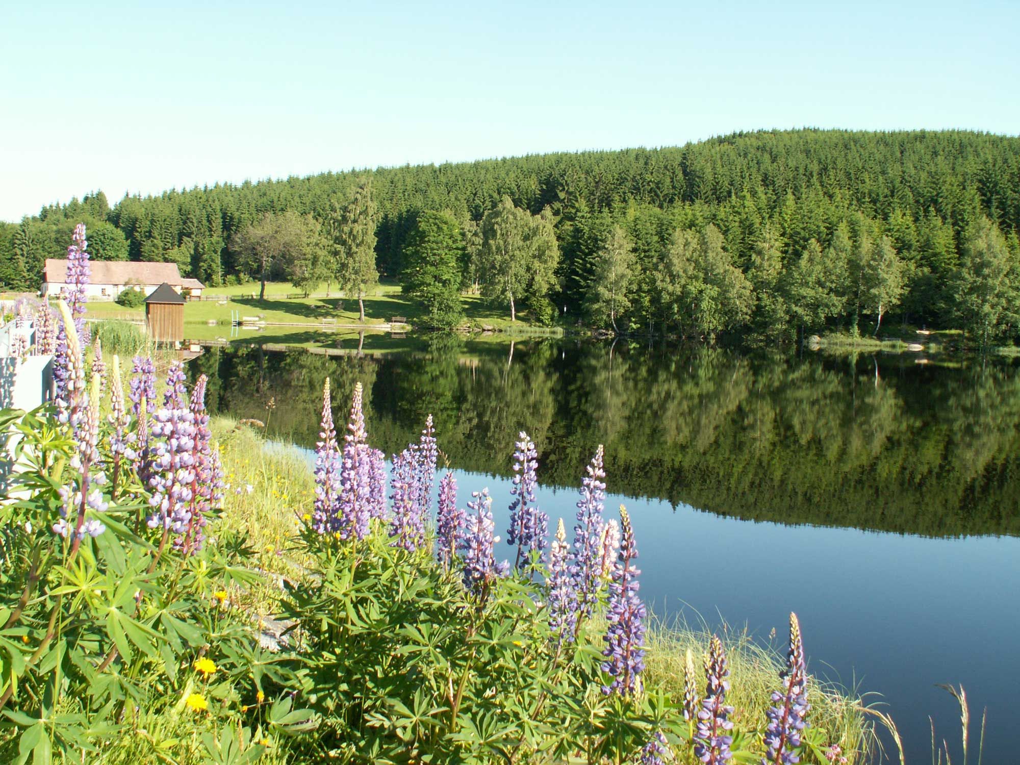 Bärnkopf