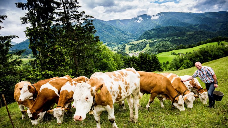 Biohof Hinterstockreith, &copy; Theo Kust